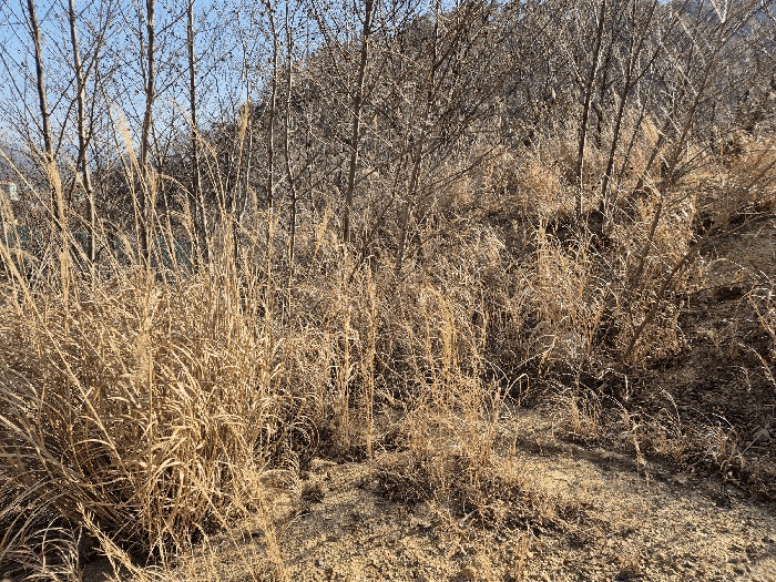 울산지법 2025타경794-1 사진