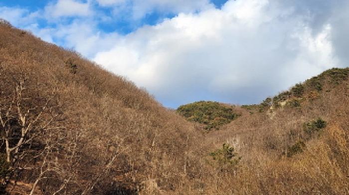 울산지법 2025타경914-2 사진