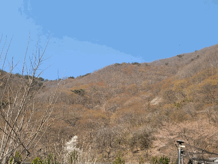 울산지법 2025타경994-1 사진