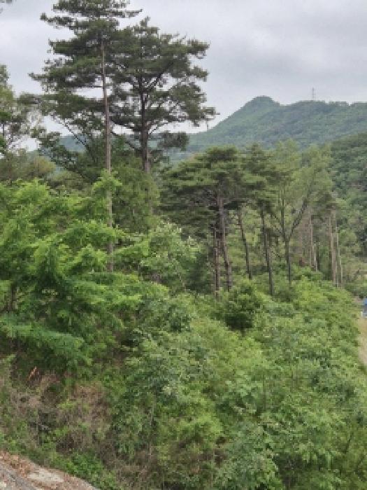 울산지법 2025타경1085-1 사진