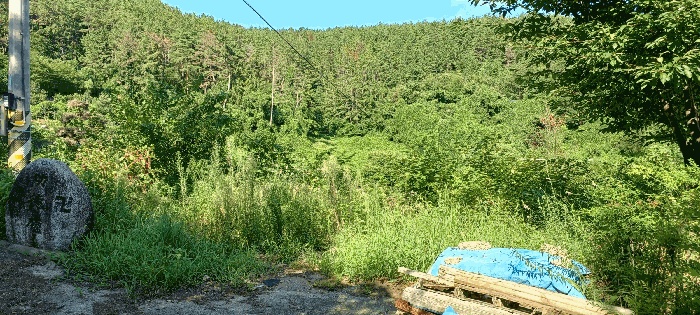 울산지법 2025타경1332-2 사진