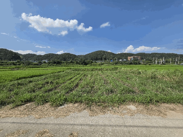 울산지법 2025타경1337-1 사진