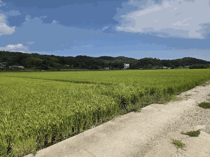 울산지법 2025타경1379-1 사진