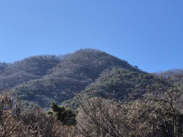 울산지법 2025타경10036-1 사진