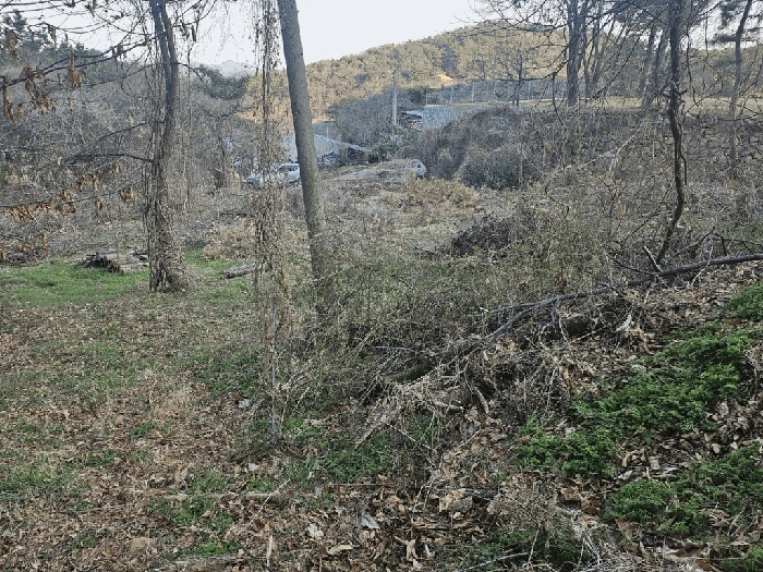 울산지법 2025타경11361-1 사진