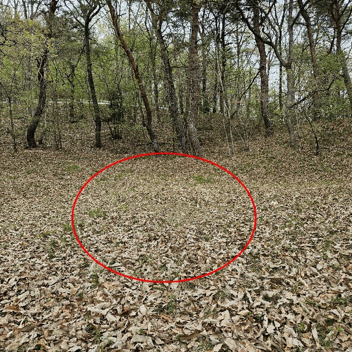 울산지법 2025타경11572-2 사진