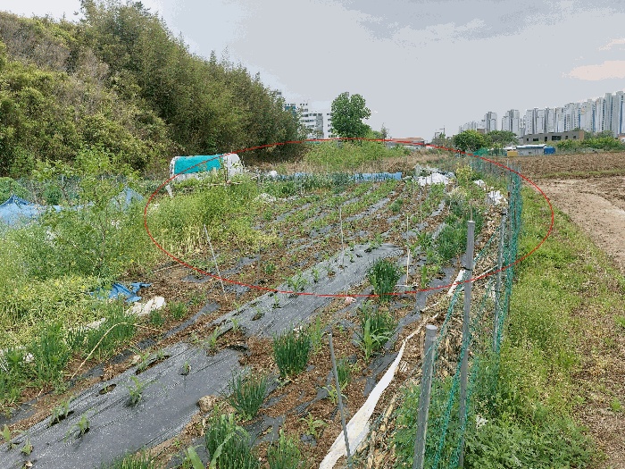 울산지법 2025타경11707-1 사진