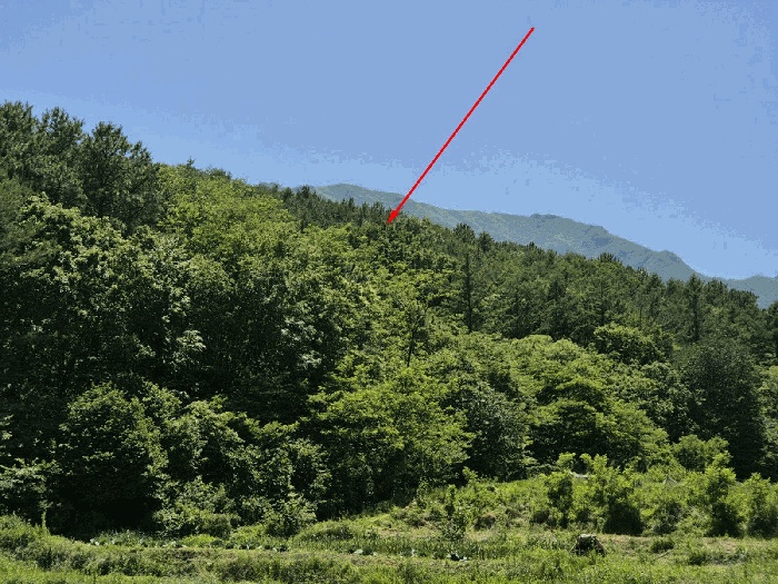 울산지법 2025타경11874-1 사진