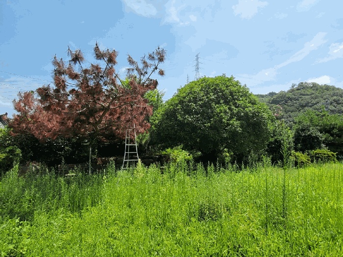 울산지법 2025타경12334-1 사진