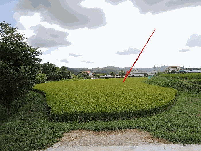 울산지법 2025타경12438-3 사진