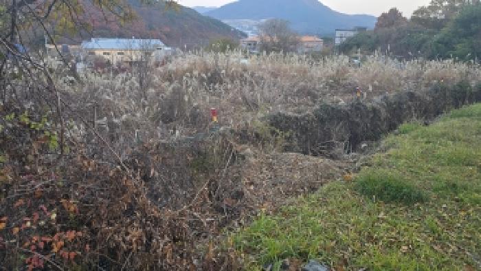 울산지법 2025타경12781-1 사진
