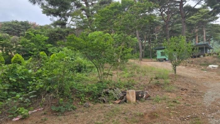 울산지법 2026타경10654-2 사진