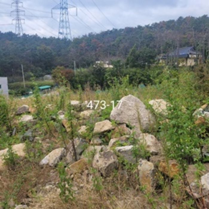 부산동부지원 2024타경110970-3 사진