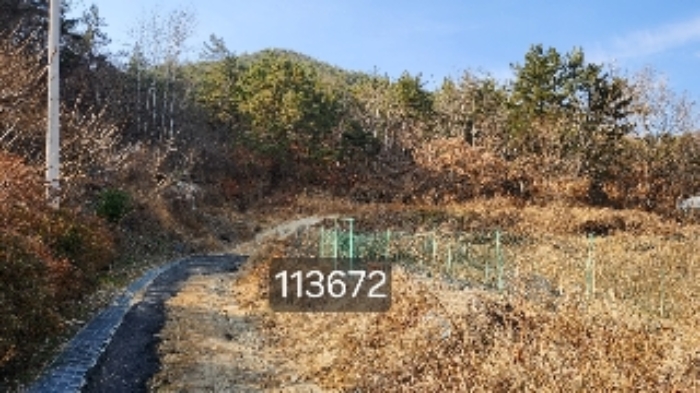부산동부지원 2024타경113672-1 사진