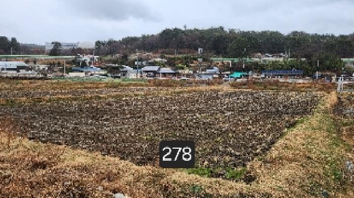 부산동부지원 2025타경278-1 사진