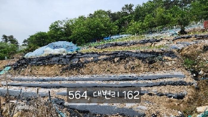 부산동부지원 2025타경564-1 사진
