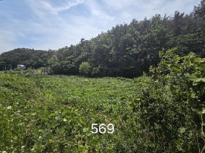 부산동부지원 2025타경569-1 사진