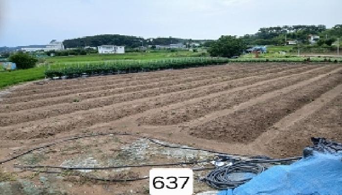 부산동부지원 2025타경637-1 사진