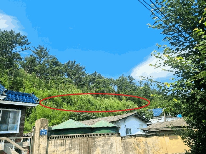 부산동부지원 2025타경640-1 사진