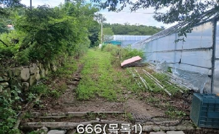 부산동부지원 2025타경666-1 사진