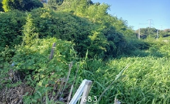 부산동부지원 2025타경683-1 사진