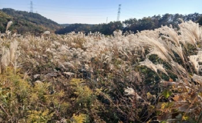 부산동부지원 2025타경825-1 사진