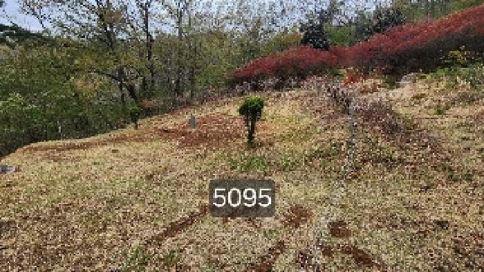 부산동부지원 2025타경5095-1 사진