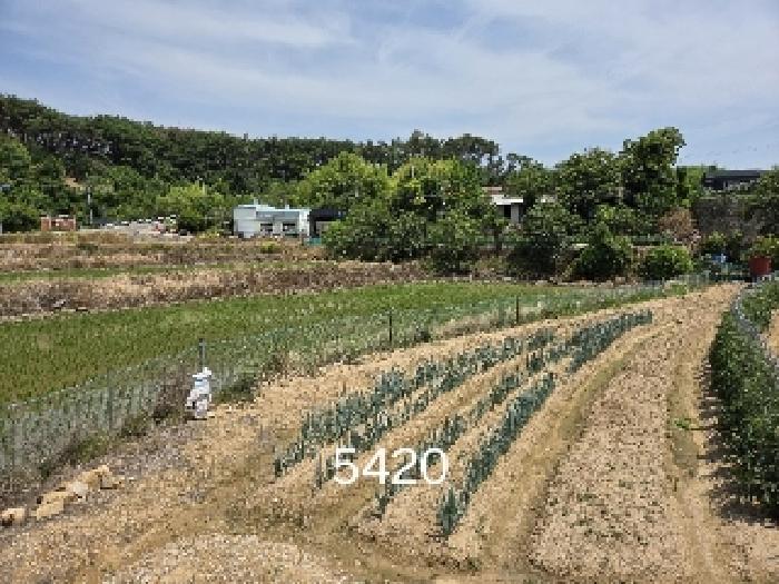 부산동부지원 2025타경5420-1 사진