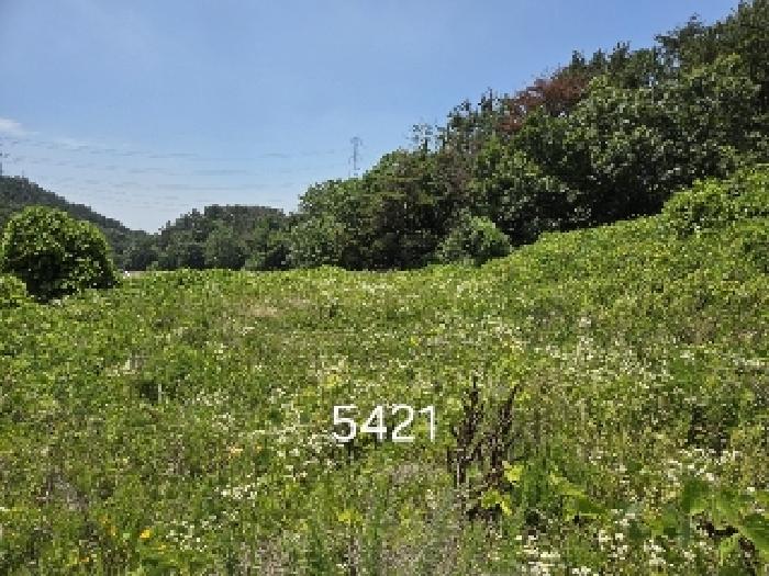 부산동부지원 2025타경5421-1 사진