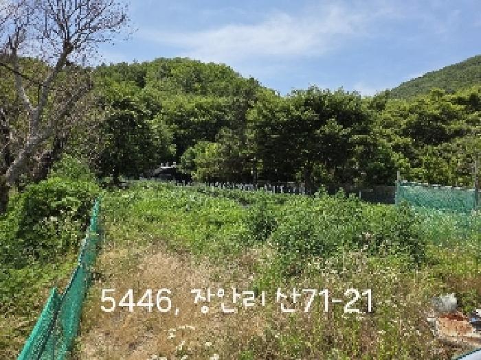 부산동부지원 2025타경5446-1 사진