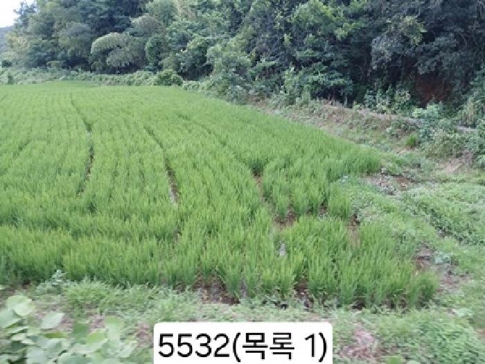 부산동부지원 2025타경5532-1 사진