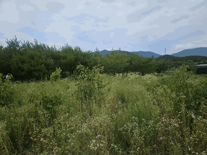 부산동부지원 2025타경5536-1 사진