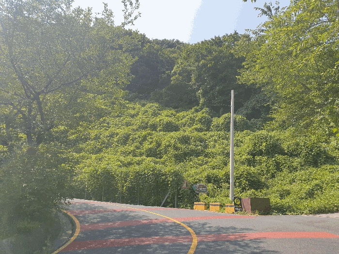 부산동부지원 2025타경5562-1 사진