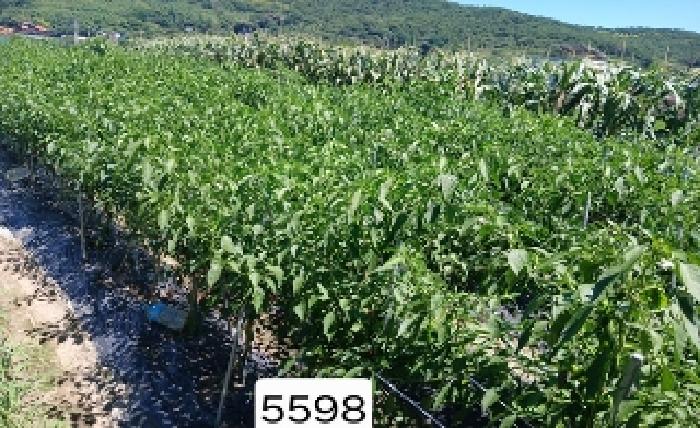 부산동부지원 2025타경5598-1 사진