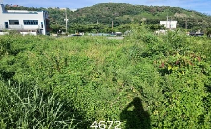 부산동부지원 2025타경5672-1 사진