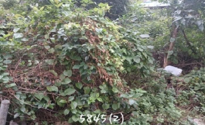 부산동부지원 2025타경5845-1 사진