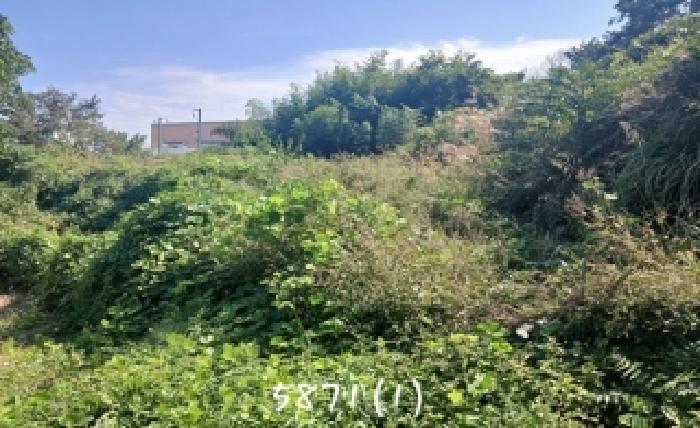 부산동부지원 2025타경5871-1 사진