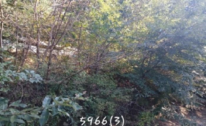 부산동부지원 2025타경5966-1 사진