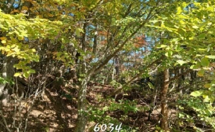 부산동부지원 2025타경6034-1 사진