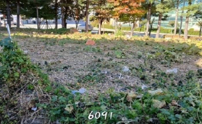 부산동부지원 2025타경6091-1 사진