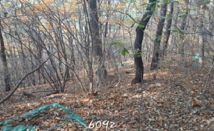 부산동부지원 2025타경6092-1 사진