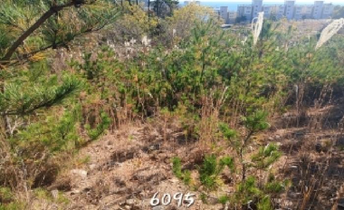 부산동부지원 2025타경6095-1 사진