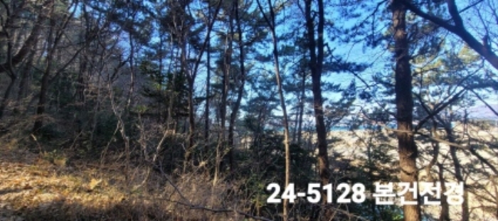 부산서부지원 2024타경5128-4 사진