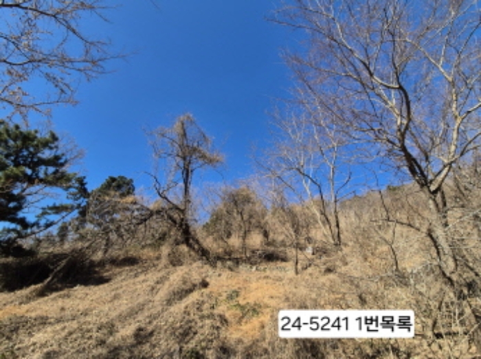 부산서부지원 2024타경5241-1 사진