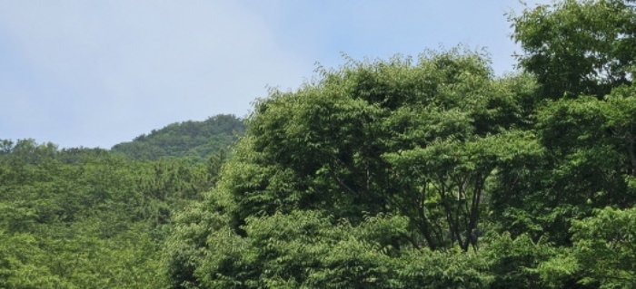 부산서부지원 2024타경105493-1 사진
