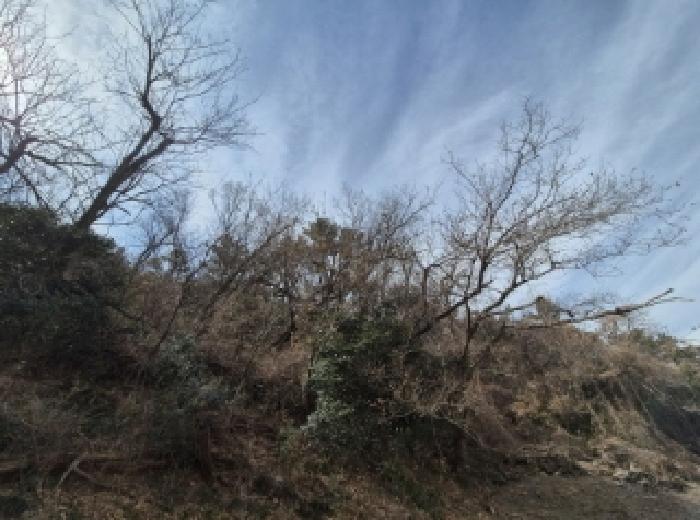 부산서부지원 2025타경205-1 사진