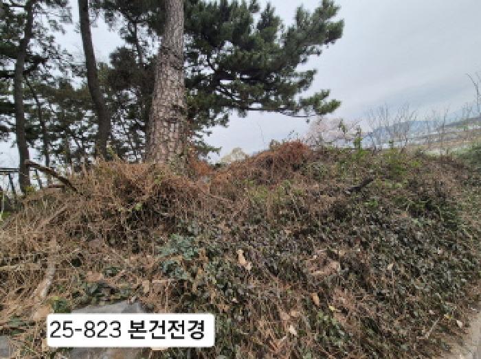 부산서부지원 2025타경823-1 사진