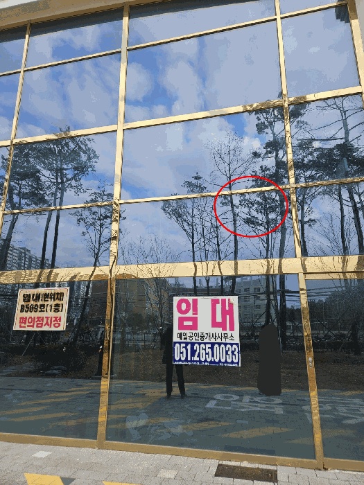 부산서부지원 2025타경4283-1 사진