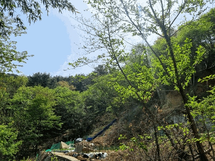 부산서부지원 2025타경101291-1 사진
