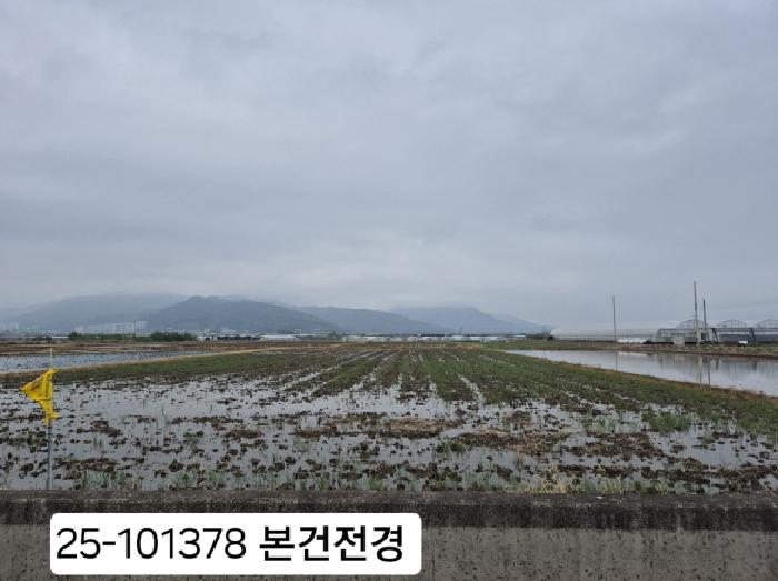 부산서부지원 2025타경101378-1 사진